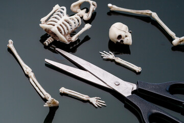 the dissected skeleton of the man in pieces is in front of the scissors. dismemberment weapon