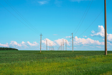 A picturesque landscape of a green field, the background divides the blue sky and grass, rural panorama of nature
