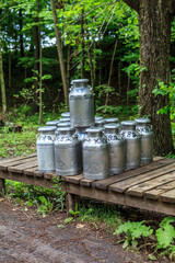 Fototapeta premium Milk Cans