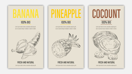 Vector hand drawn fruits of banana, pineapple and coconut posters. Vintage style healthy food concept for farmers market menu design