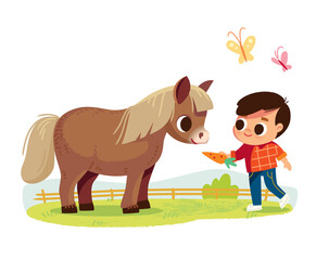 Little boy feed the pony. Kid with animal. Pets care. Summer background.
