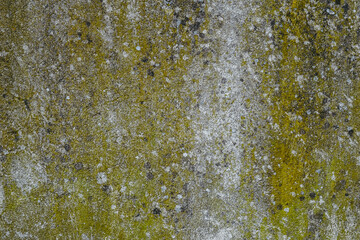 Naklejka premium Arrière plan mur moucheté avec de la mousse - Texture grunge