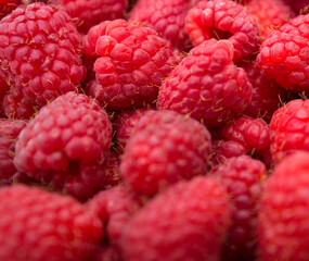 raspberry, raspberries, fruit, food, red, ripe, berries, berry, bunch, color, bowl, crimson, group, closeup, close-up, delicious, dessert, juicy, diet, fresh, freshness, harvest, healthy, ingredient, 