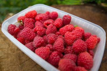 raspberry, raspberries, fruit, food, red, ripe, berries, berry, bunch, color, bowl, crimson, group, closeup, close-up, delicious, dessert, juicy, diet, fresh, freshness, harvest, healthy, ingredient, 