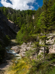 River in the Oetschergraeben Gorge in Austria