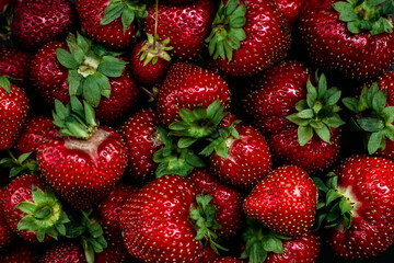 Ripe strawberries closeup. Strawberry Background
