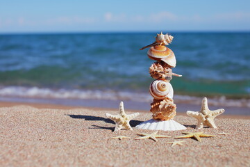 Sea shells and starfish on the beach. Sandy beach with waves. Summer vacation concept. Holidays by the sea