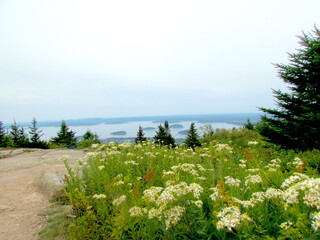 Adirondack Mountaintop 