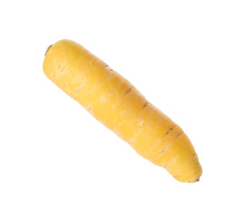 Fresh raw yellow carrot isolated on white