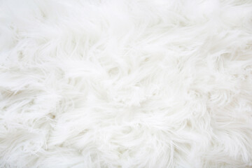 Light, white, furry coat background. Empty place for text, quote or sayings. Closeup. Top down view.