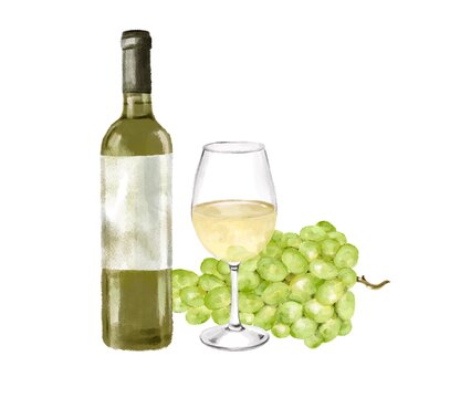 白ワインと葡萄　水彩風イラスト