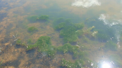 aerial view of the river