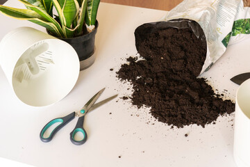 top view of the soil dirt package to plante home flowers on the table