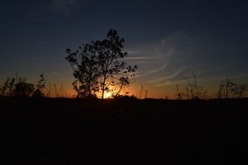 Fototapeta premium Sunset in Everglades 