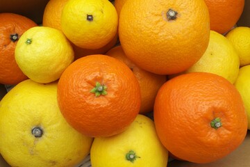 カラフルなかんきつ類 - A variety of colorful citrus fruits in a box
