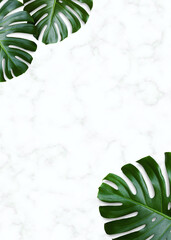 Green tropical leaves on white marble background. Top view and copy space. Flat lay