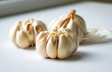 plant disease in garlic bulb, rotten garlic clove isolated , mold garlic