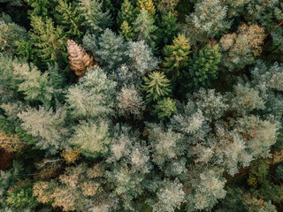 Wald bei Tostedt von oben