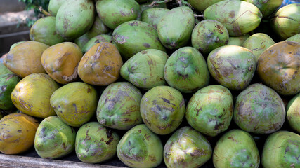 The Indian raw coconut fruit