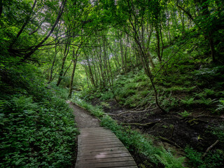 Fosdalen unique iceage tunnel valley in western Denmark
