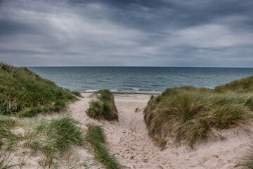 Fototapeta na wymiar Dunes at the North Sea Coast in Jammerbugt, Denmark
