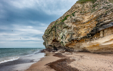 Bird cliffs in Bulbjerg near Lild beach in Thy, Denmark