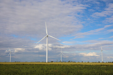 Beautiful view of field with wind turbines. Alternative energy source