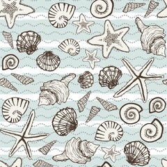 ocean shell and starfish sea seamless pattern illustration for background wallpaper banner label texture