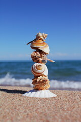 Sea shells on the beach. Sandy beach with waves. Summer vacation concept. Holidays by the sea