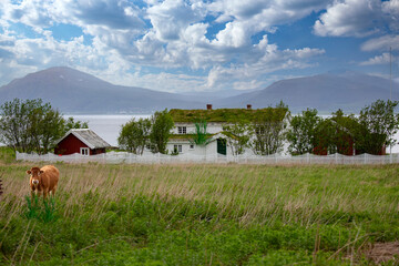Old farmhouse in the countryside Innlandet in Hadsel municipality, Northern Norway