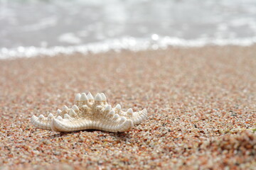 Starfish on the beach. Sandy beach with waves. Summer vacation concept. Holidays by the sea