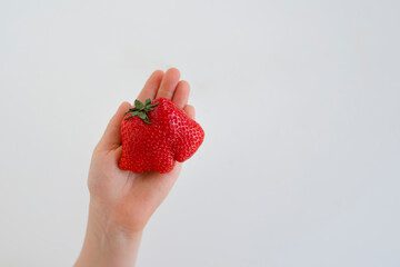 Ugly strawberry fruit in hand. Reduce food waste