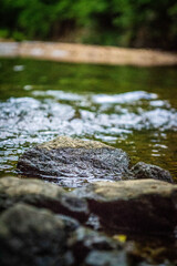 Creek in Virginia