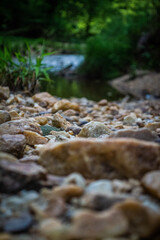 Creek in Virginia