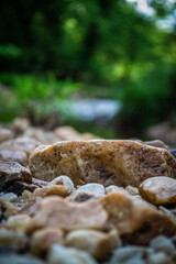 Creek in Virginia