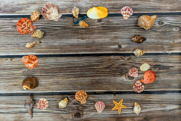 
Wooden boards are located horizontally along a horizontal frame, ocean shells of different colors along the perimeter with a place for text.