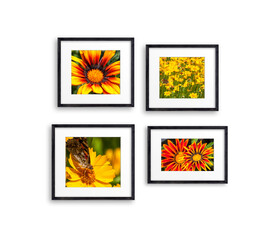 Four frames set with summer flowers pictures, black wooden frameworks isolated on white background, interior decor