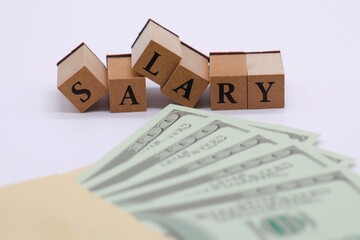 給料　米ドル紙幣のおもちゃ