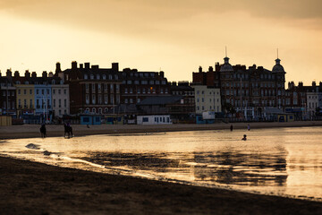 Fototapeta premium Horses along Weymouth Beach