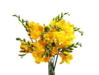 Bouquet of beautiful yellow freesia flowers on white background