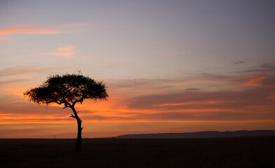 Fototapeta na wymiar Sunsrise at Masai Mara, Kenya