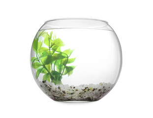 Glass fish bowl with clear water, plant and decorative pebble isolated on white