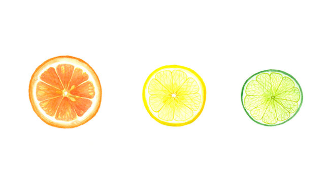 Set of pictures of citrus coexisting orange, lemon and lime.