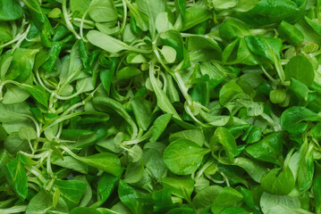 Mash salad on white background.