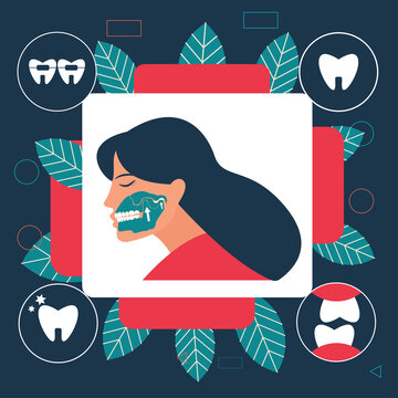 Gnathology or orthodontics concept Flat Vector illustration, masticatory system, including its functional disturbances and jaw joint and temporo - mandibular joint treatment. Can be used as template f