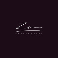 ZS initials signature logo. Handwriting logo vector templates. Hand drawn Calligraphy lettering Vector illustration.
