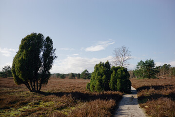 Spaziergang durch das B&uuml;senbachtal bei Buchholz in der Nordheide
