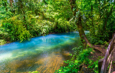 Rio Celeste with turquoise, blue water. Connection of two rivers and chemical reaction, water...