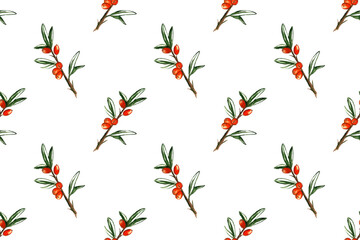 Sea buckthorn hand drawn seamless pattern. Watercolor drawing isolated on white background. Orange berries on the branch. Botanical picture