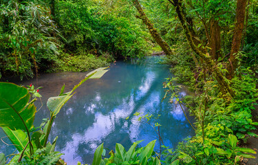 Rio Celeste with turquoise, blue water. Connection of two rivers and chemical reaction, water become blue - turquoise. Tenorio national park Costa Rica. Central America.